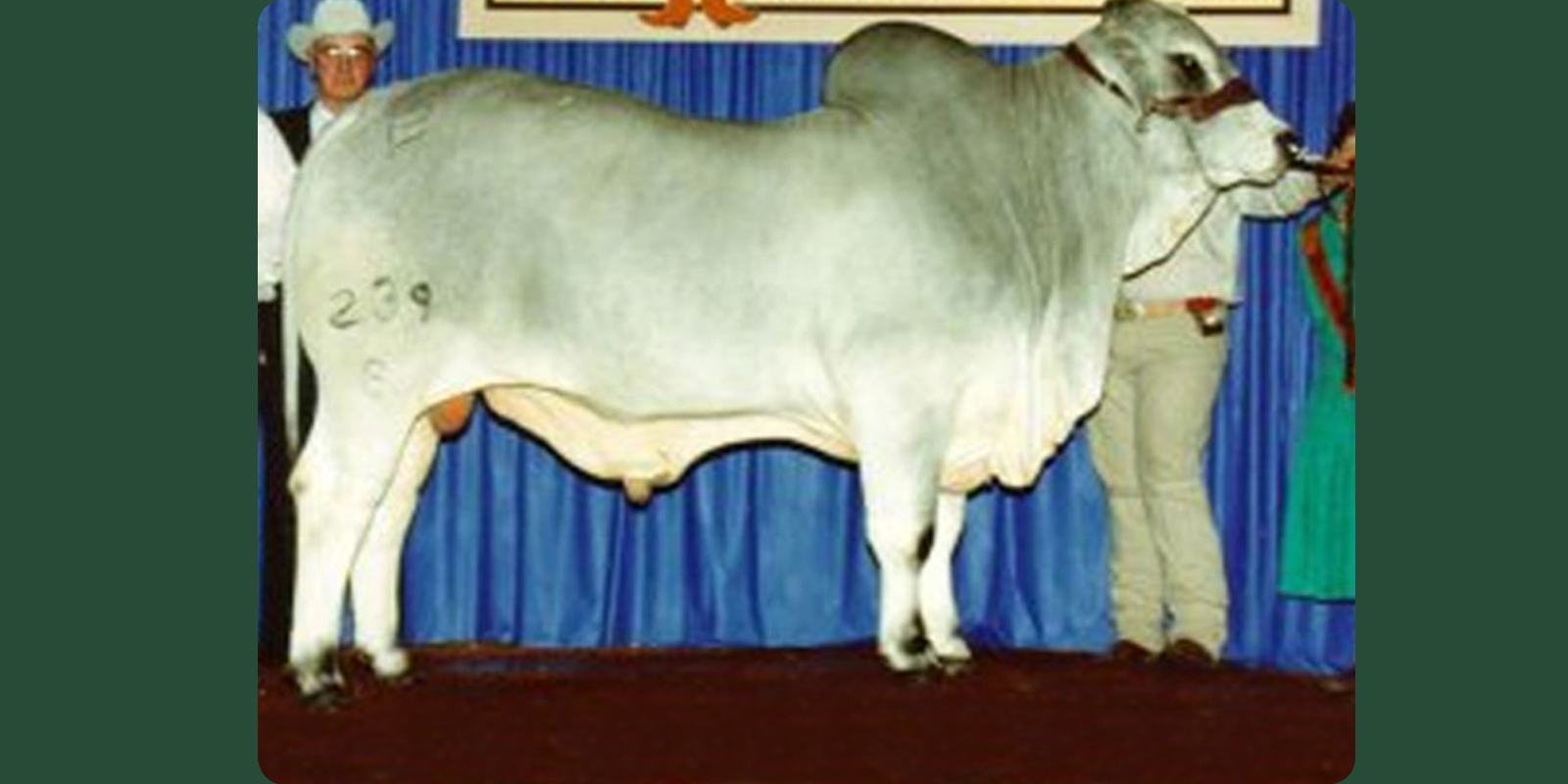 +3B MR. SUVA 239/8 FORT KNOX