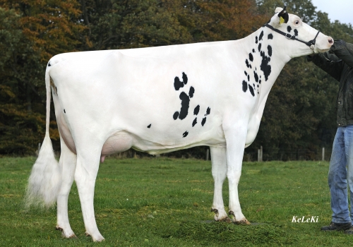 Shotti 56 VG87 - Mãe