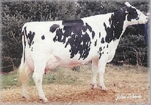 HENKESEEN M HILLARY (EX-94) - 5ª MÃE.jpg