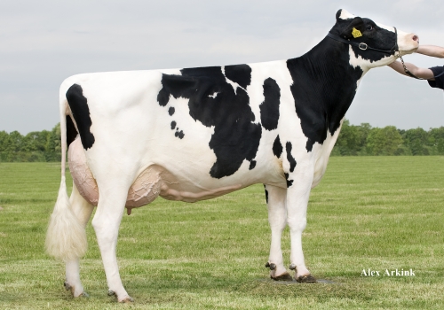 HOLBRA HEIDE 2 (EX-91) - MÃE.jpg
