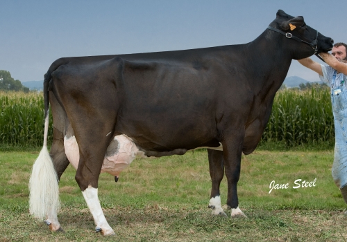 GE-MIS MAUI LEE 567 ET (MB-85) - AVÓ.jpg