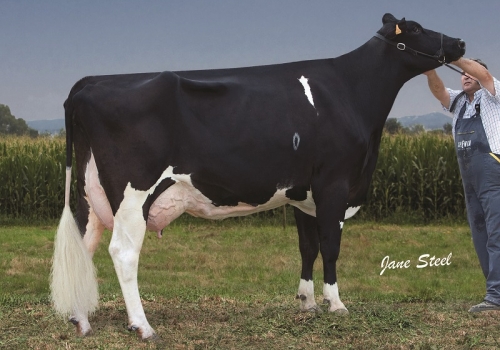 Gener-Trona-Al-Mar-733 (MB-87) - MÃE.jpg