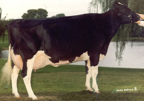 MISS MARK MAUI (EX-95)  - 4ª MÃE.jpg