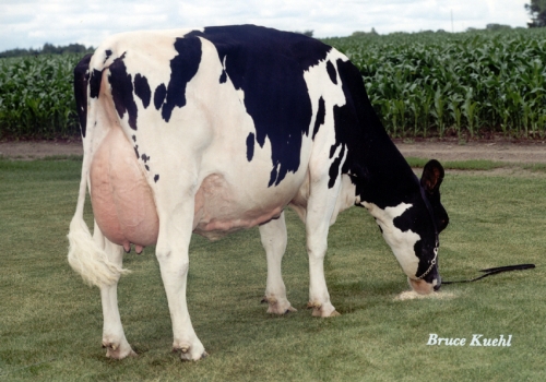 RALMA JUROR FAITH (EX-91) - 3ª MÃE.jpg