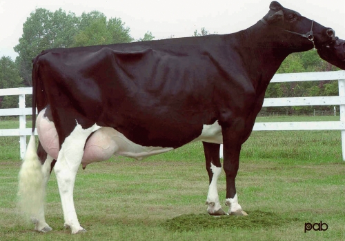 Starbuck-Thiersant-Lili-Starbuck-et - BISAVÓ.jpg