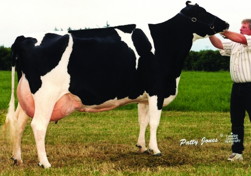 MARKWELL LUKE RAPTURE (EX-92) - 4ª MÃE.jpg