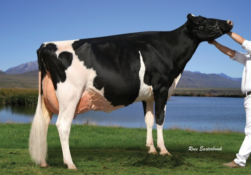 FILHA - CAMPEÃ NOVA ZELANDIA 2011.jpg