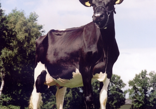 DELTA EUGENE(MB-88) - AVÓ (2).jpg