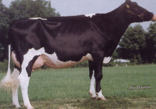 DELTA EUGENIE (MB-88) - AVÓ.jpg