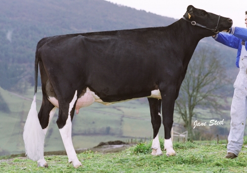 NORZAGARAI EMIR 9 (B+ 80)  - FILHA.jpg