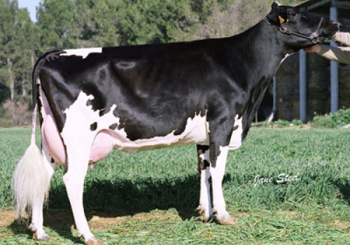 PARNAU 81 EMIR 58 (MB-81) - FILHA.jpg