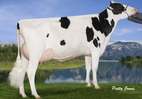 DONNANVIEW A PLANET SOLO (MB-87) - MÃE.jpg