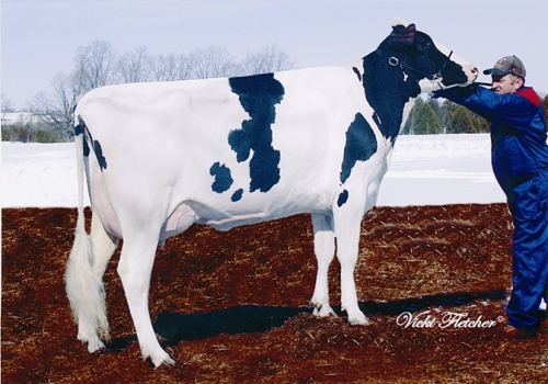 GEN-I-BEQ CONVINCER SILVER (MB-88) - 4ª MÃE.jpg