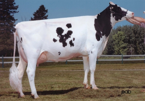 MARYCLERC B CHAMPION SILVIA ET (EX-92) - 3ª MÃE.jpg