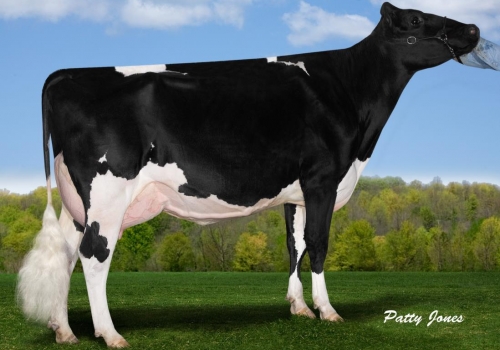 ALLYNDALE-I GOLDWYN ALBANY ET (MB-87) - IRMÃ COMPLETA DA AVÓ (1).jpg