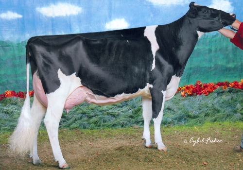 MD-DELIGHT DURHAM ATLEE ET  (EX-92) - BISAVÓ.jpg