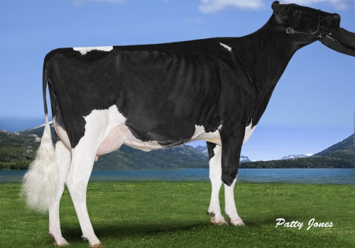 MS ARIEL SANCHEZ ARUBA ET (B+83) - MÃE.jpg