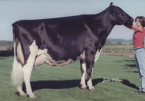 REGANCREST JUROR BRINA ET (EX-92) - 3ª MÃE.jpg