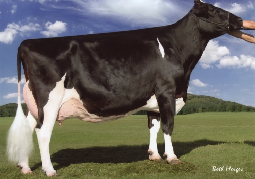 REGANCREST-PR BARBIE ET (EX-92) - AVÓ (3).jpg