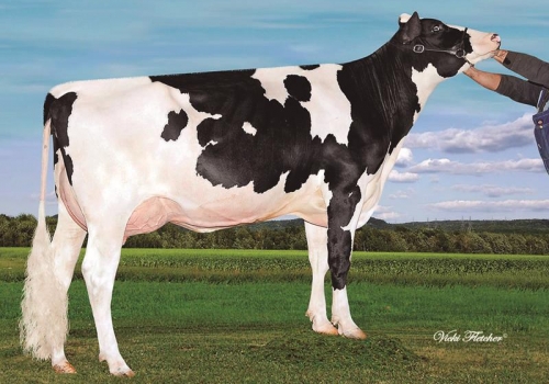 BLODIN MAN O MAN ARKANSAS - IRMÃ.jpg