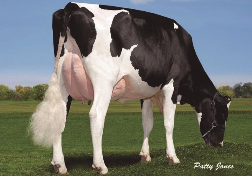 GENERVATIONS MAN O MAN LOLA - IRMÃ.jpg