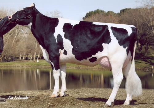 RALMA FINLEY C-F CHOICE (EX-90) - AVÓ.jpg