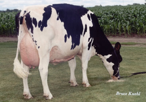 RALMA JUROR FAITH (EX-91) - 4º MÃE (2).jpg