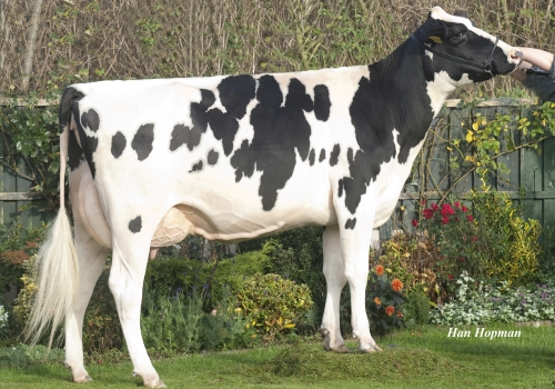 TEXEL BEAUTY SHOTTLE CHOICE (MB-89) - MÃE (2).jpg
