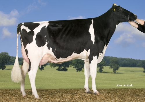 Anderstrup-Shottle-Heidi-et.jpg