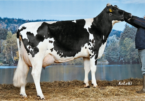 FILHA DE MAZDA_2.jpg