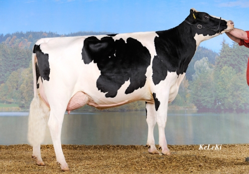 FILHA DE MAZDA_3.jpg