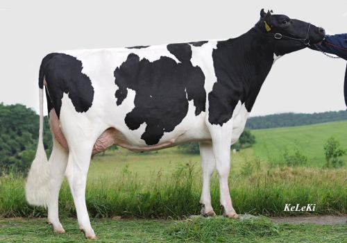 FILHA DE MAZDA_4.jpg