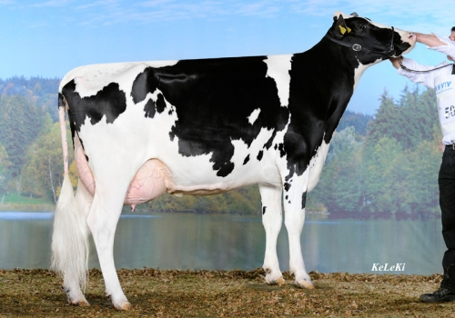 FILHA DE MAZDA_6.jpg