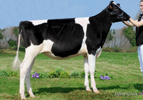 CASA-NOVA DELLIA MEGAGENIO ET - FILHA.jpg