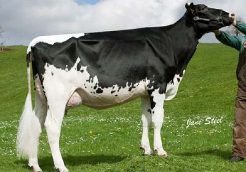 URKITZE MEGAGENIO YESBELE - FILHA.jpg