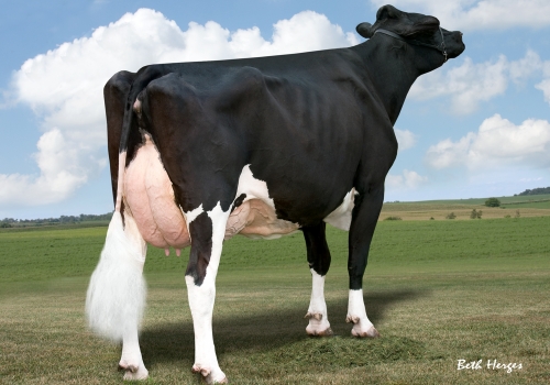 REGANCREST G BROCADE ET (EX-92) - MÃE (2).jpg