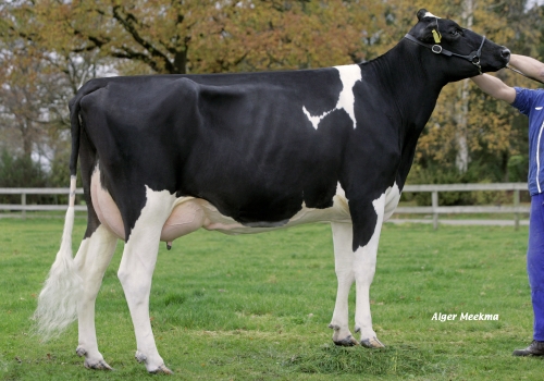 HBC TOYSTORY ZAHARA ET (MB-87) AVÓ.jpg