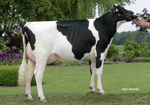 BARNKAMPER MARILYN 252 (EX-90) - AVÓ.jpg