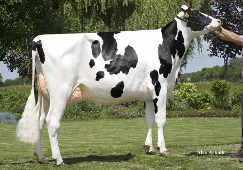 BARNKAMPER MARILYN 381 (MB-88) - MÃE.jpg