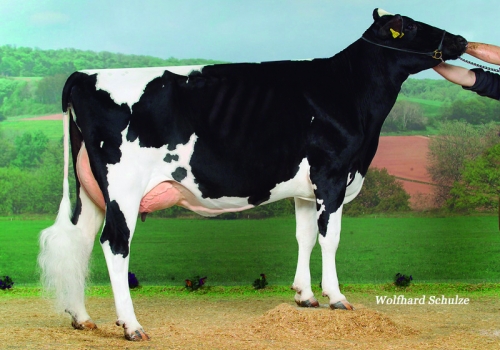 CARLOTTA - FILHA.jpg