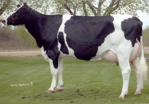 FAR-O-LA AARON DARLENE ET (EX-90) - MÃE (2).jpg