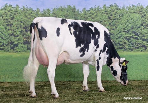 FILHA DE ONTARIO3.JPG