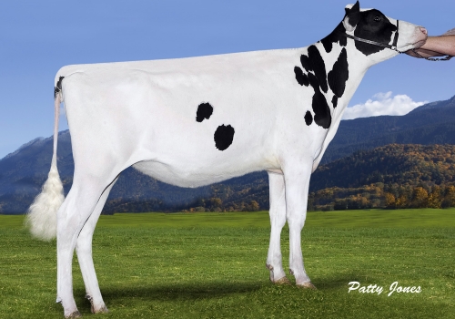 Dymentholm Sunview PIK Santana.jpg