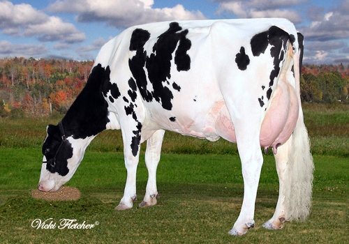 Eastside PIKAP Enya R_EX-93.jpg