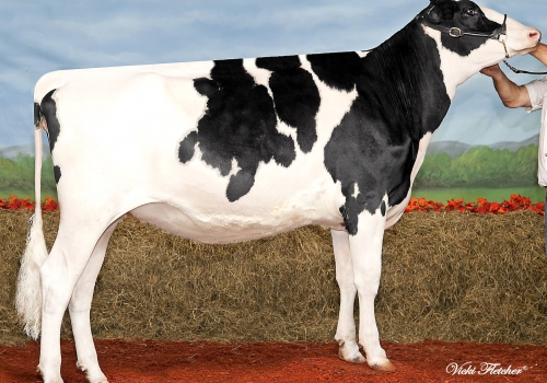 Gillette Miss PICK Pei.jpg