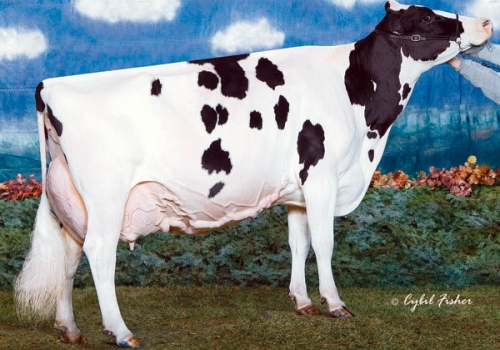 Mactalla Marker Molly.jpg