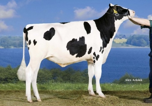 ANDERSTRUP SATURNO CARMEX - FILHA.jpg