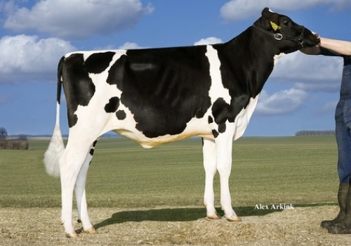 ANDERSTRUP SATURNO CARRI - FILHA.jpg