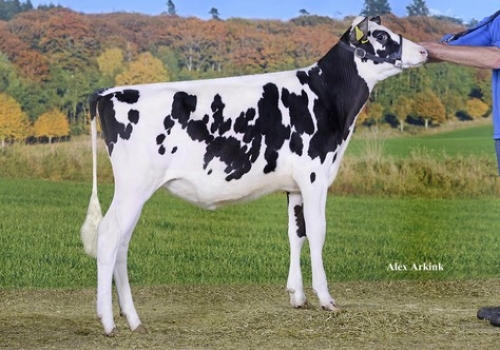 CNN SATURNO LILLIE - FILHA.jpg