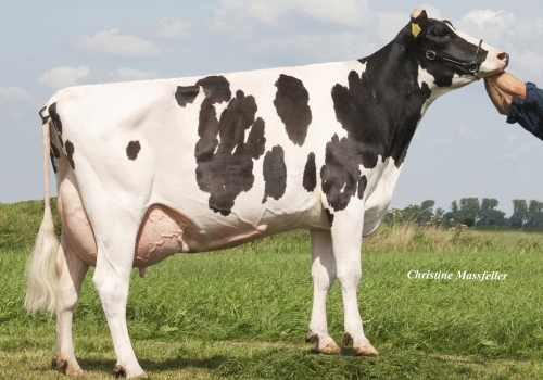 HOLEC MODEST OLIVIA ET (MB-87) - MÃE.jpg